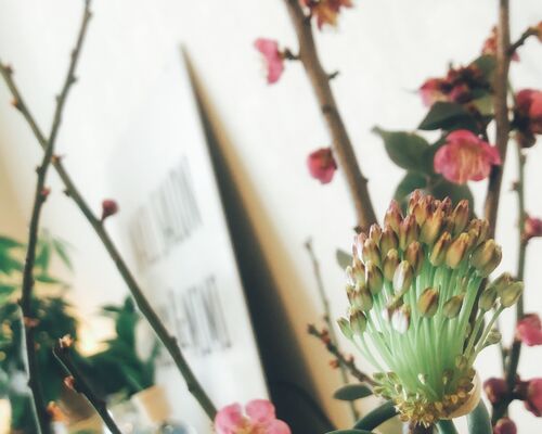 247A6A60-6FBA-45A5-8C02-928CB8BE9E5F