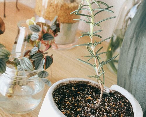 04AA1DC8-3DB1-4CAC-90F6-1EE316D170A1