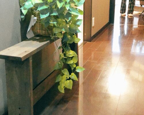 6EF5F0AC-E992-47BF-9191-08C5EE73D0FC