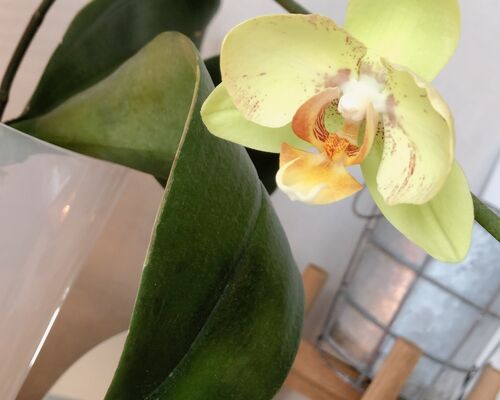 4D061068-85A9-44A4-B987-7AF9E54091BB