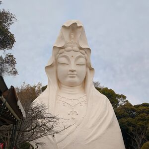 2026-02-10-15-34-53-696