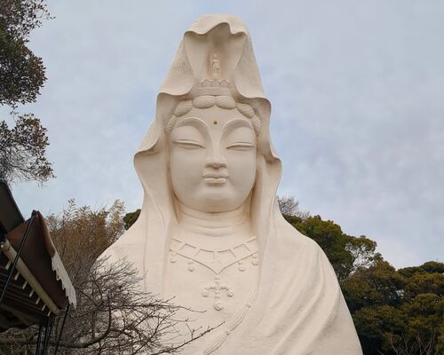 2026-02-10-15-34-53-696