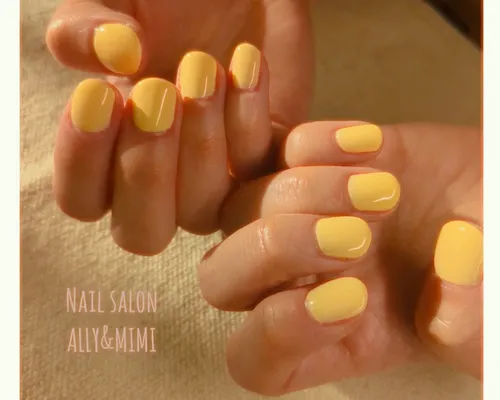 IMG_20260214_154802_761