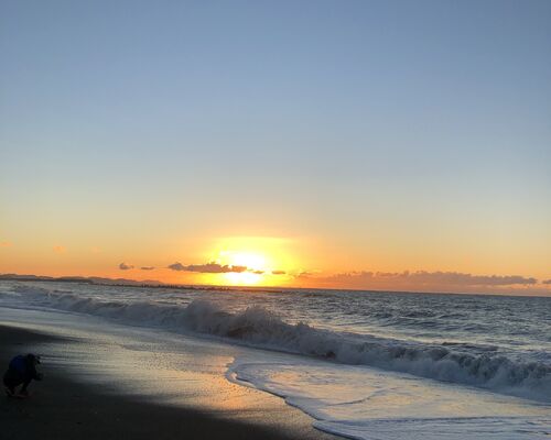 B2A338D3-F452-42BC-A876-2BA149D096CA